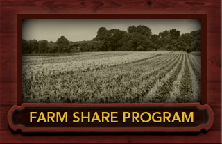 farm share program csa in ct milford 